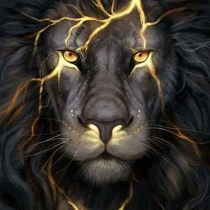 Meet your Posher, Rae